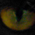 :iconfolaz: