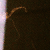 :iconfolikfoto: