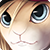 :iconfolji:
