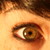 :iconfolleh: