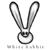 :iconfollow-your-dreams: