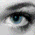 :iconfollowmyeyez: