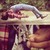 :iconfollowthedreamz: