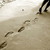 :iconfollowthefootprints: