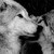 :iconfollowxmexhome: