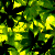 :iconfollymath: