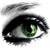 FOM3 :iconfom3: