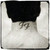 :iconfoodestinity: