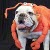 :iconfoodstamps-lobster: