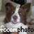 :iconfooemphoto:
