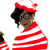 :iconfoogalee: