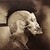 :iconfool-among-fools: