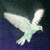 :iconfool4u: