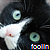:iconfoolin: