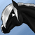:iconfoolish-pride: