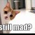 :iconfoolism: