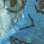 :iconfoolscapdaily: