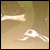 :iconFOOTBALL-FOREVER-COM: