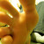 :iconfootboy2604: