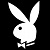 :iconfor-the-tomcat: