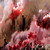 :iconfor-waver: