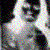 :iconforalwaysandforever: