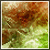 :iconforart: