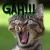 :iconforbiddendragonfly:
