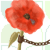 :iconforbiddenpoppy: