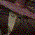 :iconforcedautumn2fall: