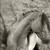 :iconfordmustang3000: