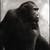 :iconforeigntorin: