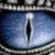 :iconforest-elf000: