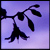 :iconforest-of-october: