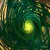 :iconforest-of-wolves: