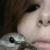 :iconForestFaeri: