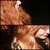 :iconforestiscalling: