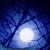 :iconforestmoon13: