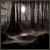 :iconforestofstars:
