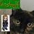 :iconForestpelt: