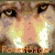 :iconforestsage: