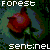 :iconforestsentinel: