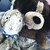:iconforever-beth: