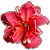 :iconforever-bride: