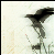 :iconforever-curious: