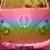 forever-green :iconforever-green: