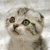 :iconforever-innocent: