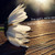 :iconforever-sacred-483: