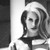 :iconforever-story: