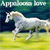 :iconforeverattached: